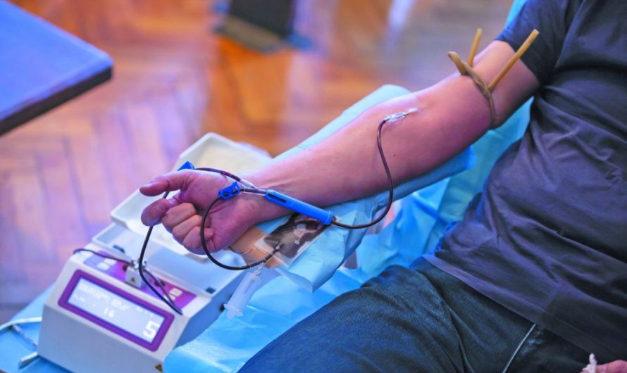 Хто і як може стати донором крові (інфографіка)