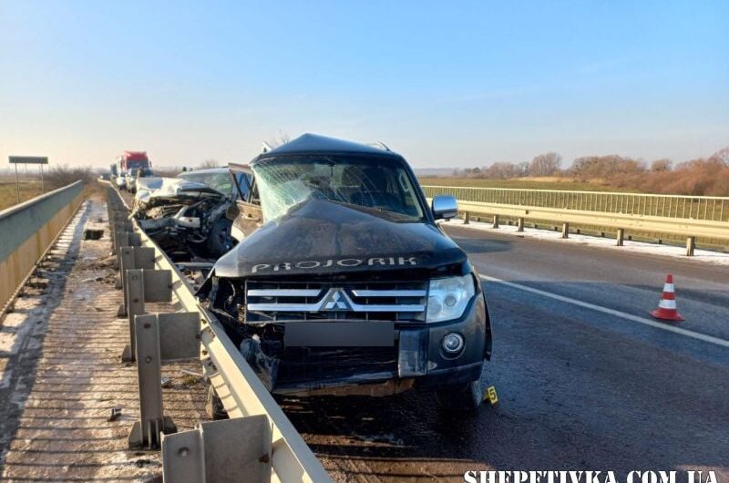 Мешканка Шепетівщини не впоралась з керуванням та спричинила трагічне ДТП
