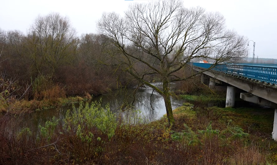 Відходи – в Горинь: поліція взялася за нечестивого автомийника (відео)